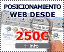 Posicionamiento Web