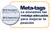 Envio de metatags